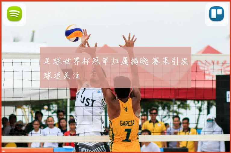 足球世界杯冠军归属揭晓 赛果引发球迷关注
